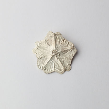 'Kangaroo Apple' (East Gippsland) brooch