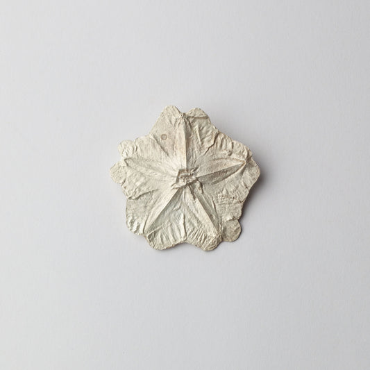 'Kangaroo Apple' (East Gippsland) brooch