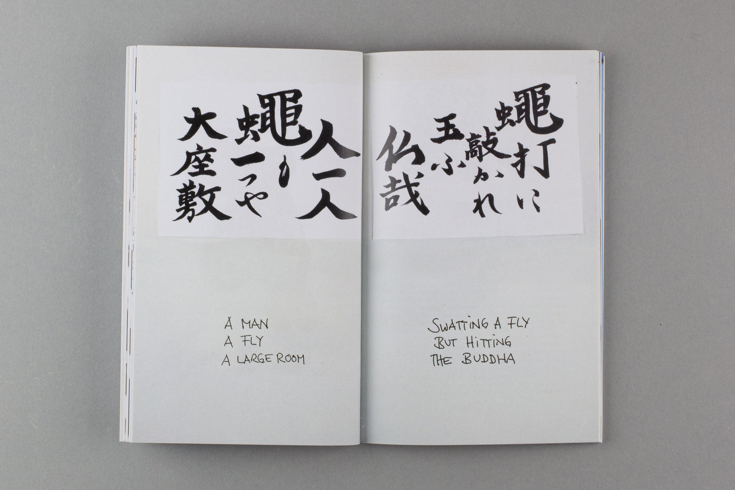 Peter Bauhuis 'Fly: The Book'
