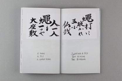 Peter Bauhuis 'Fly: The Book'