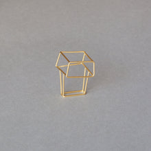 'Morphology' ring