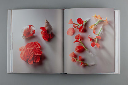 Catherine Truman: Touching Distance